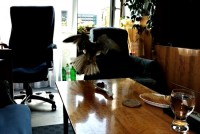 /album/a17-6-2013/neco-malinkym-jpg1/